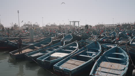 fishing boats at a port