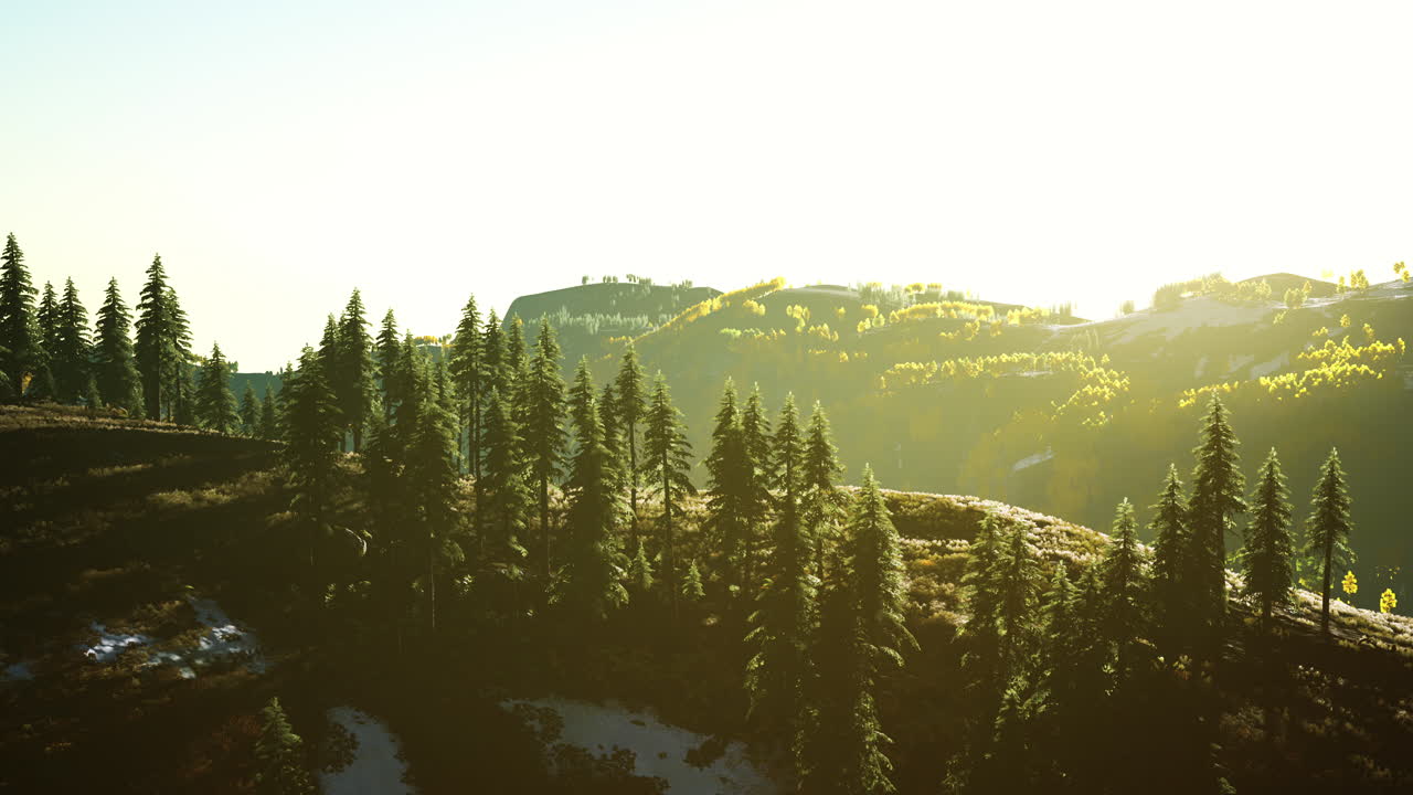 멀리 있는 산맥 에 비해 소나무 숲 이 있는 산 계곡
