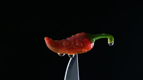 pequeña pimienta de chile en la punta de un cuchillo de cocina cubierta de gotas de agua cayendo chiles en negro