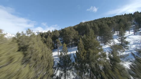 risky racing drone flight over snowy landscape and forest of pyrenees mountains