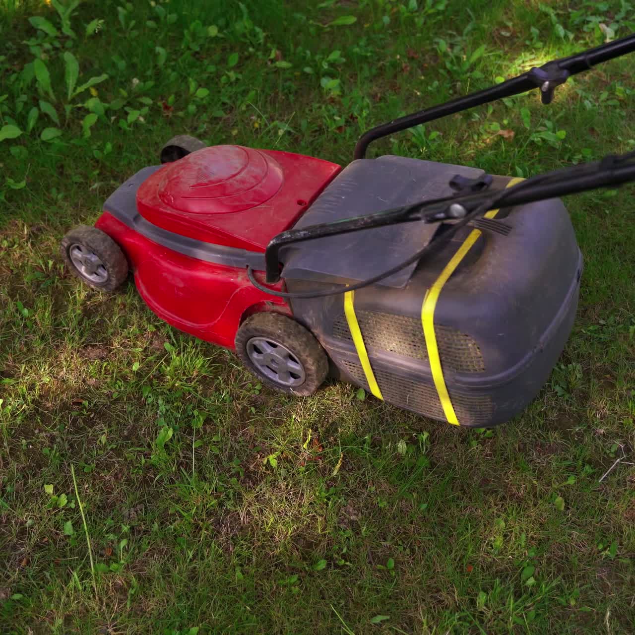 Corded lawn mower in the garden. Woman is cutting grass with electric mower machine in summer. Gardening process.
