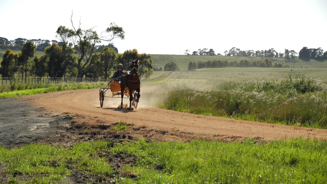 Racing horse training along dusty track