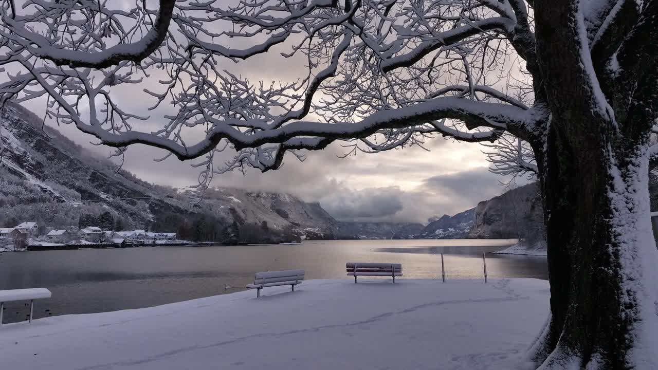 스위스 세인트 갈렌의 렌세 호수 연안에 있는 눈 인 공원.