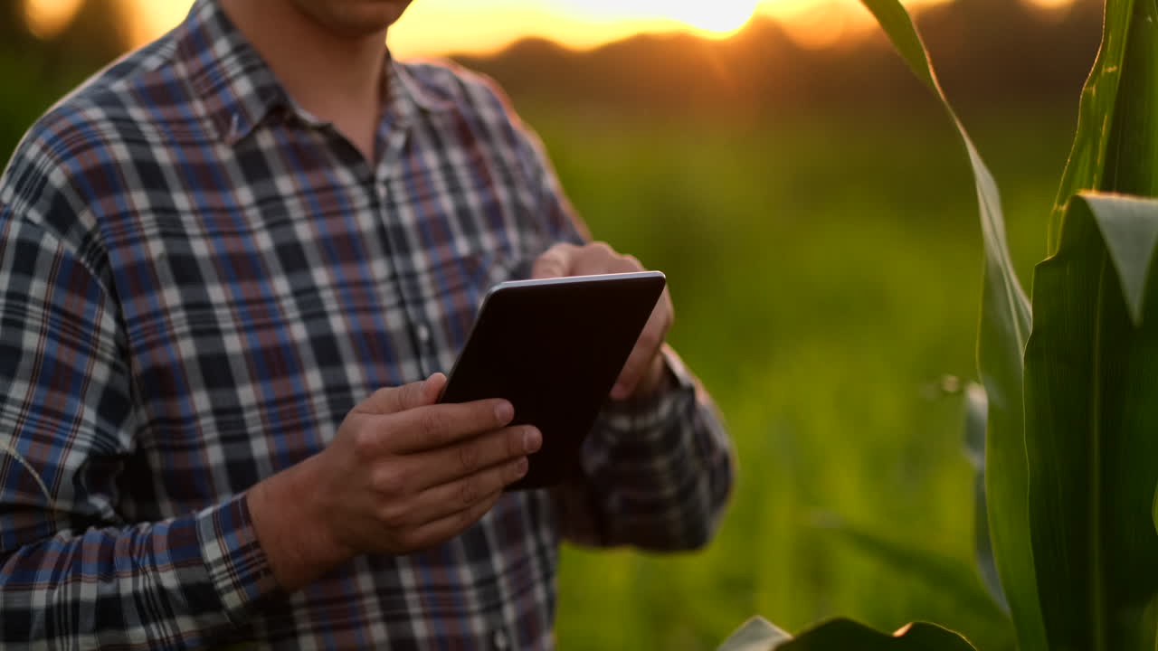 lens flare: agricultor que utiliza una tableta digital en el campo de cultivos de soja aplicación de la tecnología moderna en la actividad de cultivo agrícola
