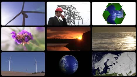 montaje que presenta el concepto de ecología