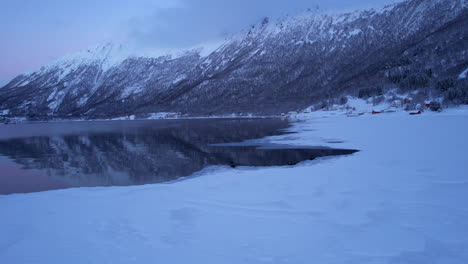 Beautiful-seals-sitting-on-ice-during-polar-night,-with-a-purple-and-pink-sunset-in-the-fjord-Norway,-aerial-shot