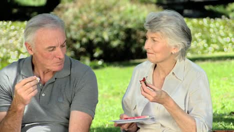 anciano festejando en un picnic con su esposa