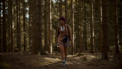 beautiful female tourist exploring amidst trees