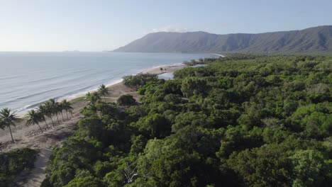 paisaje tropical de la playa de wangetti en el norte de queensland, australia - toma aérea de drones