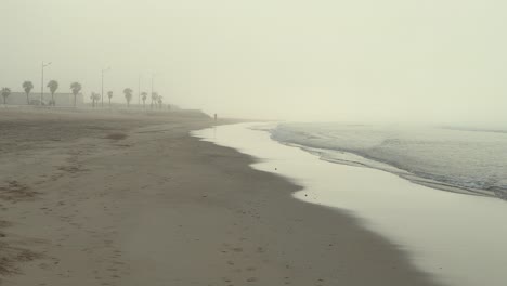 vista estática de una playa en la niebla con un hombre en la distancia paseando a su perro