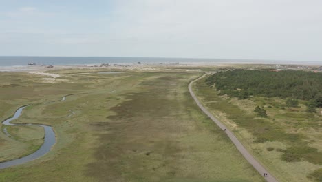 drone - aerial shot of the green nature beach of st