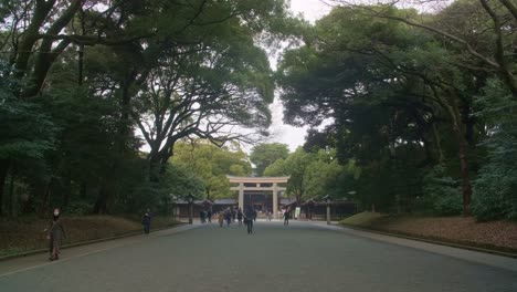 meiji temple: tokyo's historic sacred site explore the cultural and spiritual heritage of meiji temple, a historic shrine nestled in the heart of tokyo's vibrant cityscape.