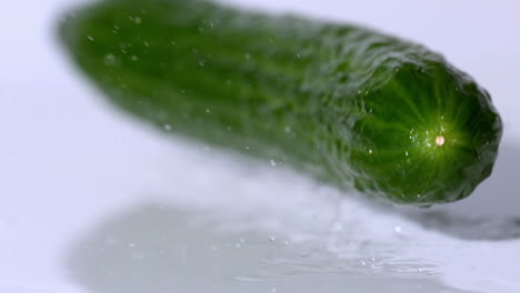 courgette falling on wet white background