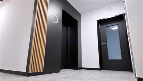 Luxury-Modern-Elevator-In-Luxury-Building