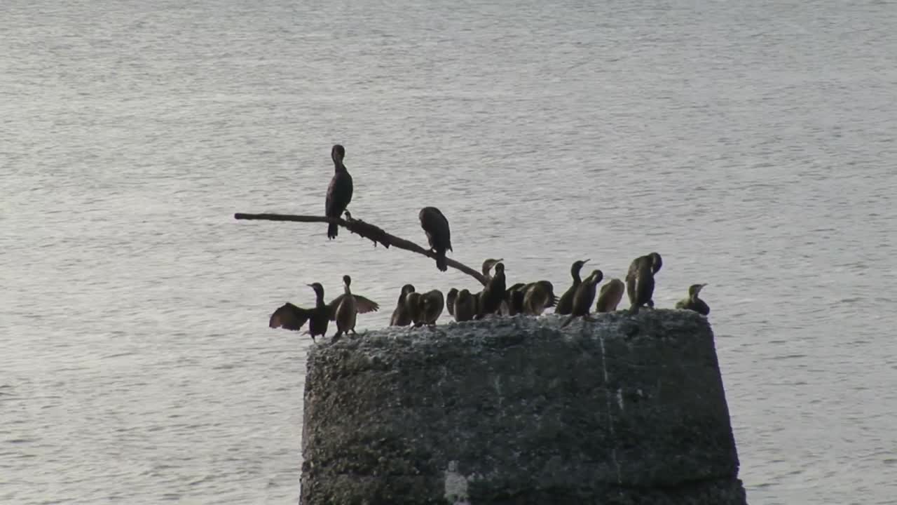 클레어 카운티 아일랜드