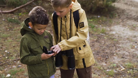 kids in the nature