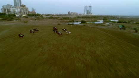polo horses running in the field during a match as players running for ball with mallet in their hands