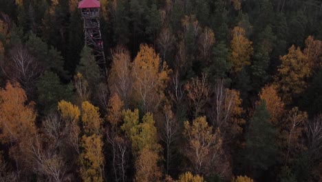 Vista-Aérea-De-Drones-De-Un-Colorido-Bosque-Oscuro-En-El-Parque-Nacional-Ogres-Zilie-Kalni-En-Letonia-En-El-Norte-De-Europa-Durante-El-Otoño