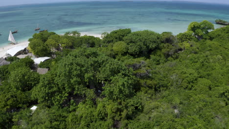 Baobab-tree-in-tropical-rainforest-on-sea-coast-with-fishing-village