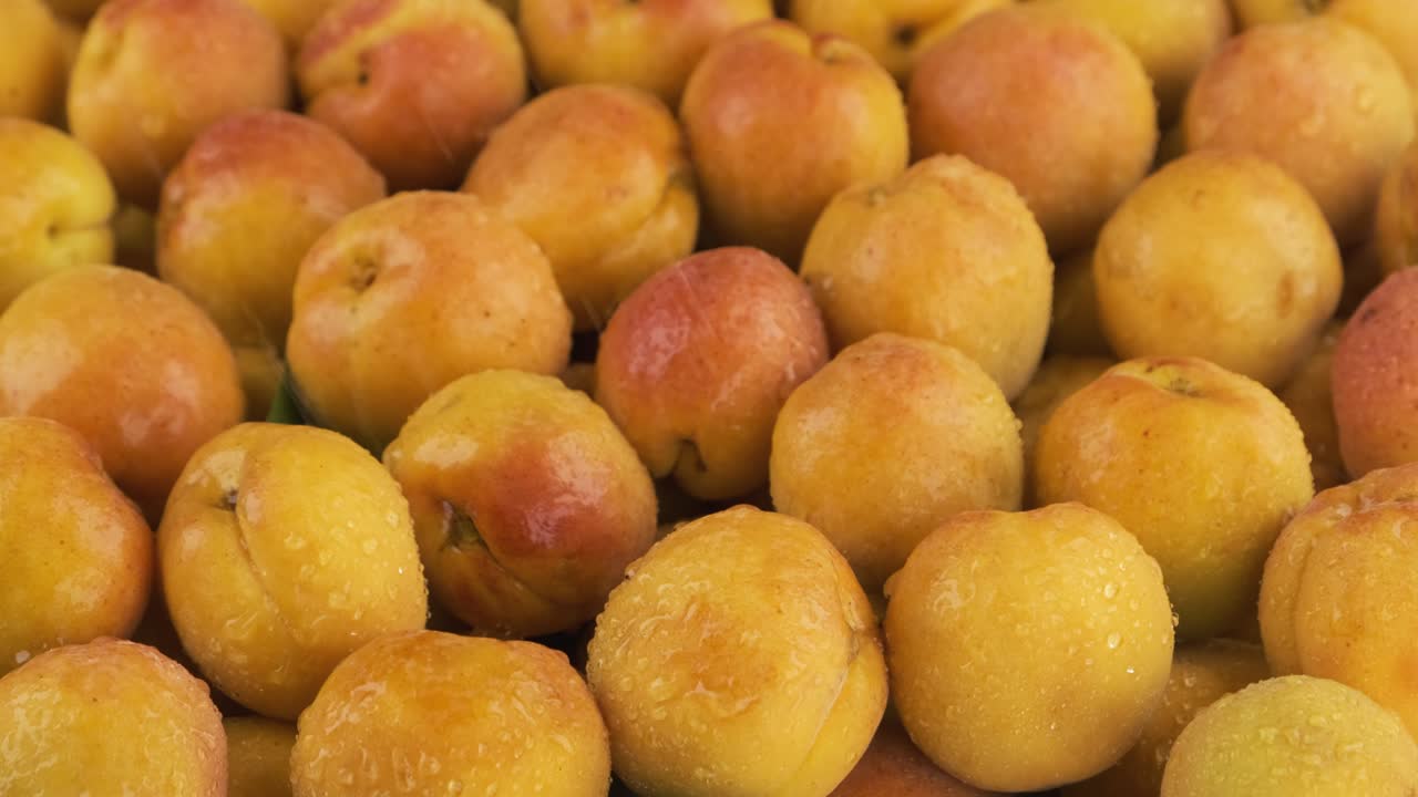 panorama horizontal. las gotas de lluvia caen sobre los albaricoques maduros y jugosos. fondo de frutas.
