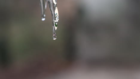 copie el espacio alrededor del carámbano derretido mientras las gotas de agua caen enfoque selectivo