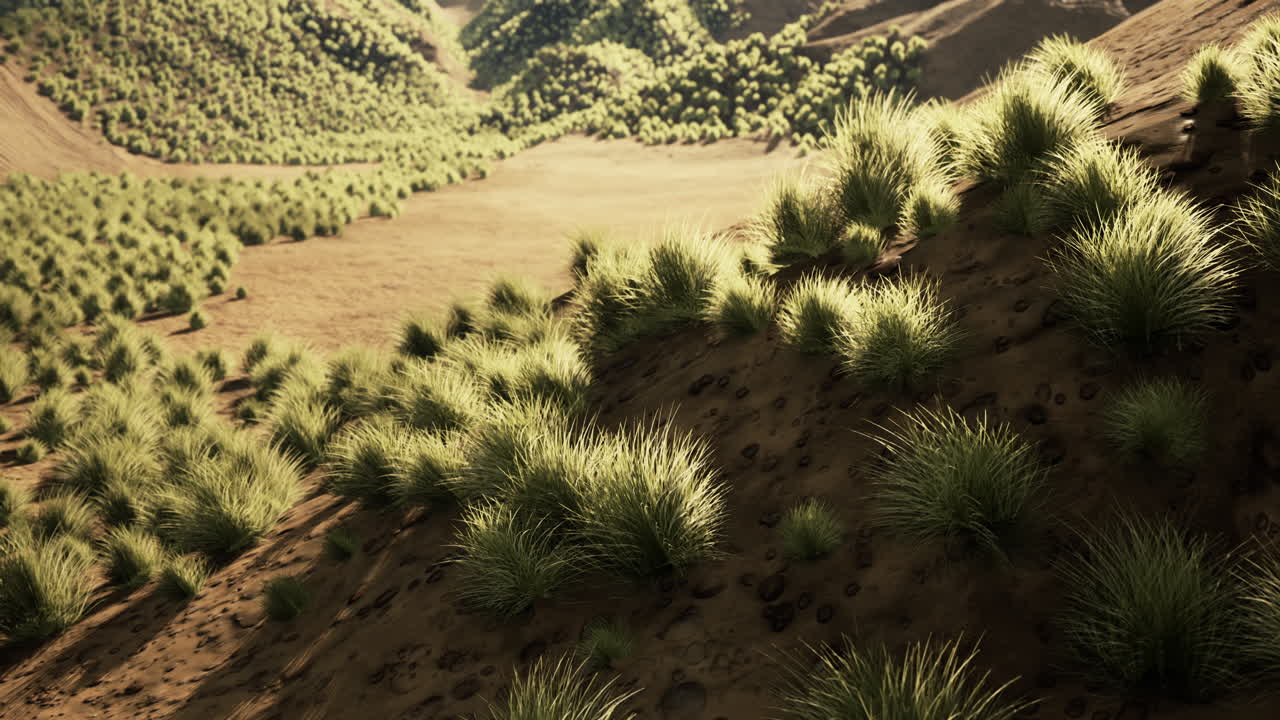 paisaje del desierto de gobi en mongolia