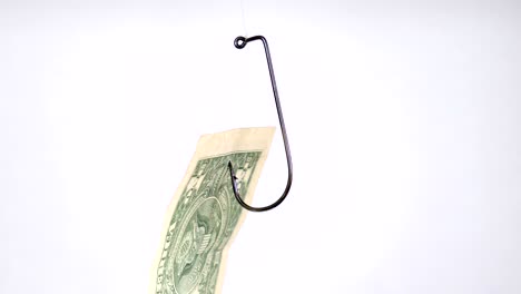 dollar on a fishing hook isolated on white background