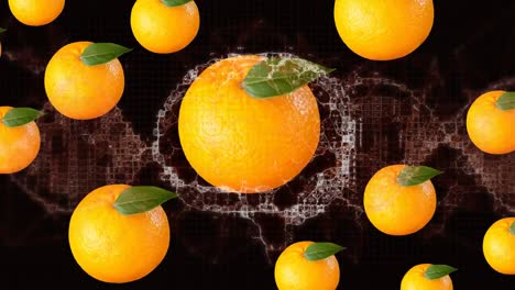 Animation-of-digital-brain-with-dna-helix-over-oranges-against-black-background