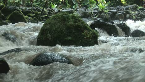 Stock-Footage-Tropische-Flussstromschnellen