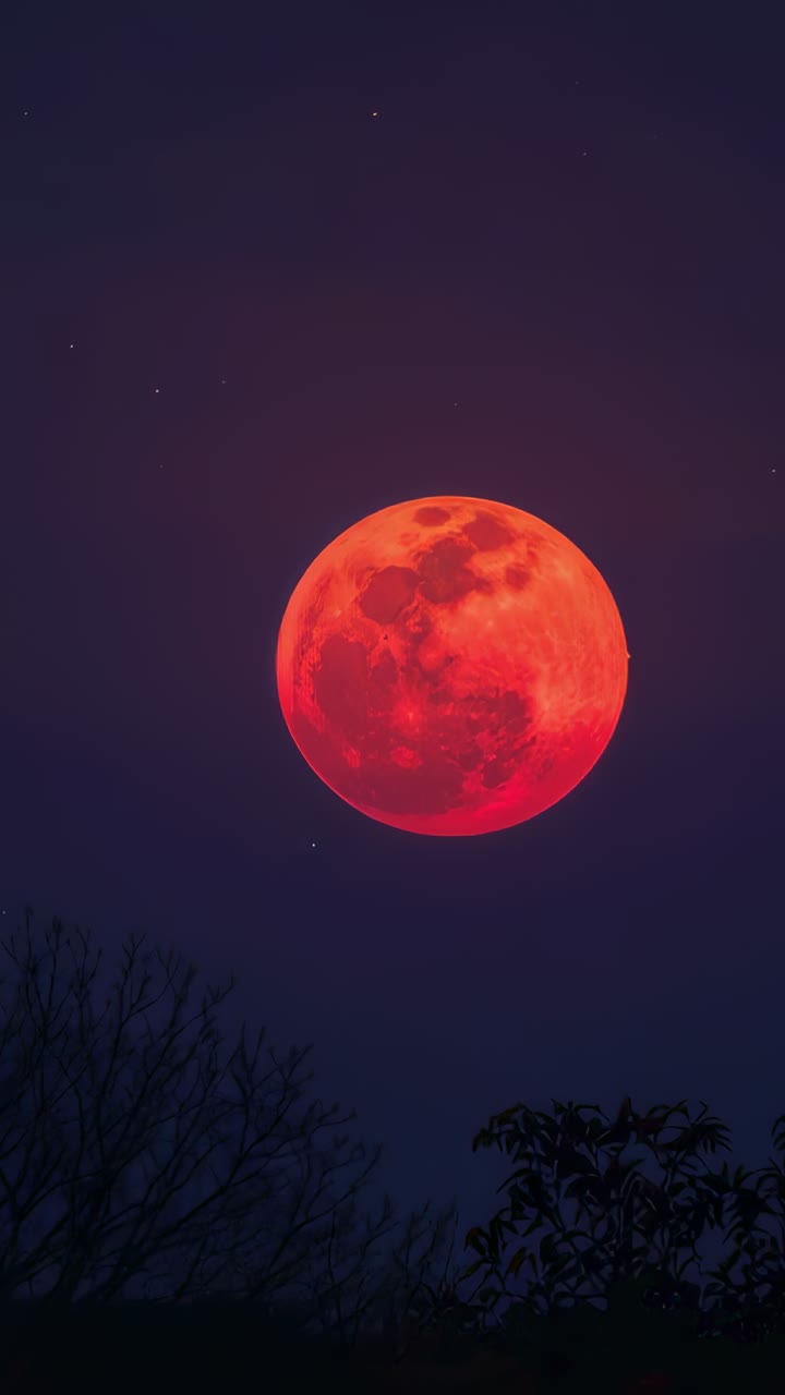 Vídeo vertical: câmera gravando a lua vermelha sobre as árvores rastreando mudanças de cor, estrelas fracas