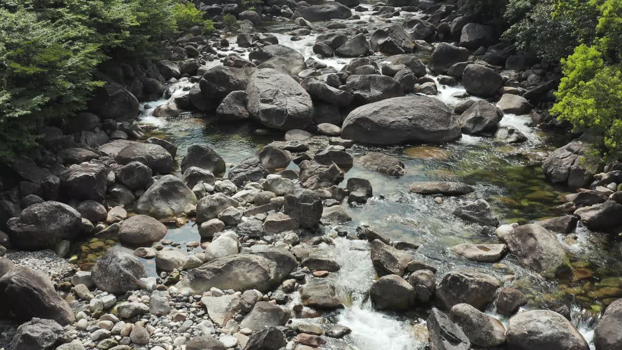 la selva de yakushima, empujar el puente al río a través de los árboles, kagoshima, japón