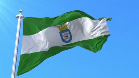 los angeles city flag, chile. loop