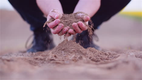 farmer examining organic soil in hands farmer touching dirt in agriculture field 18