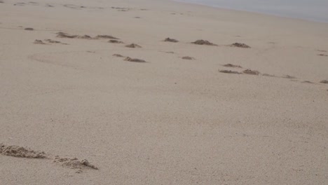 close up of trail foot tracks on the sand at nazare beach, portugal. camera panning to coastline and nazare village horizon and skyline someone looking at the sea. meditative.