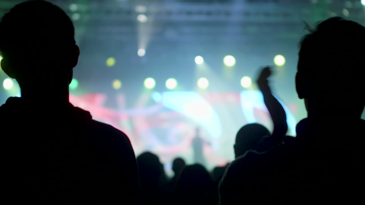 Silhouette della folla del concerto