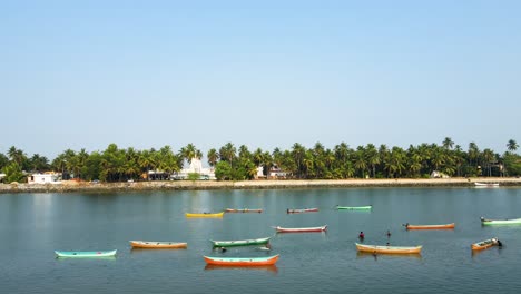 fotografía aérea de un oasis insular con aldeas bordeadas de cocos en udupi