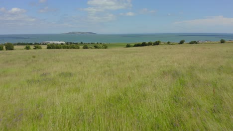 4k hacia adelante sobre el campo y luego hacia arriba para revelar la costa