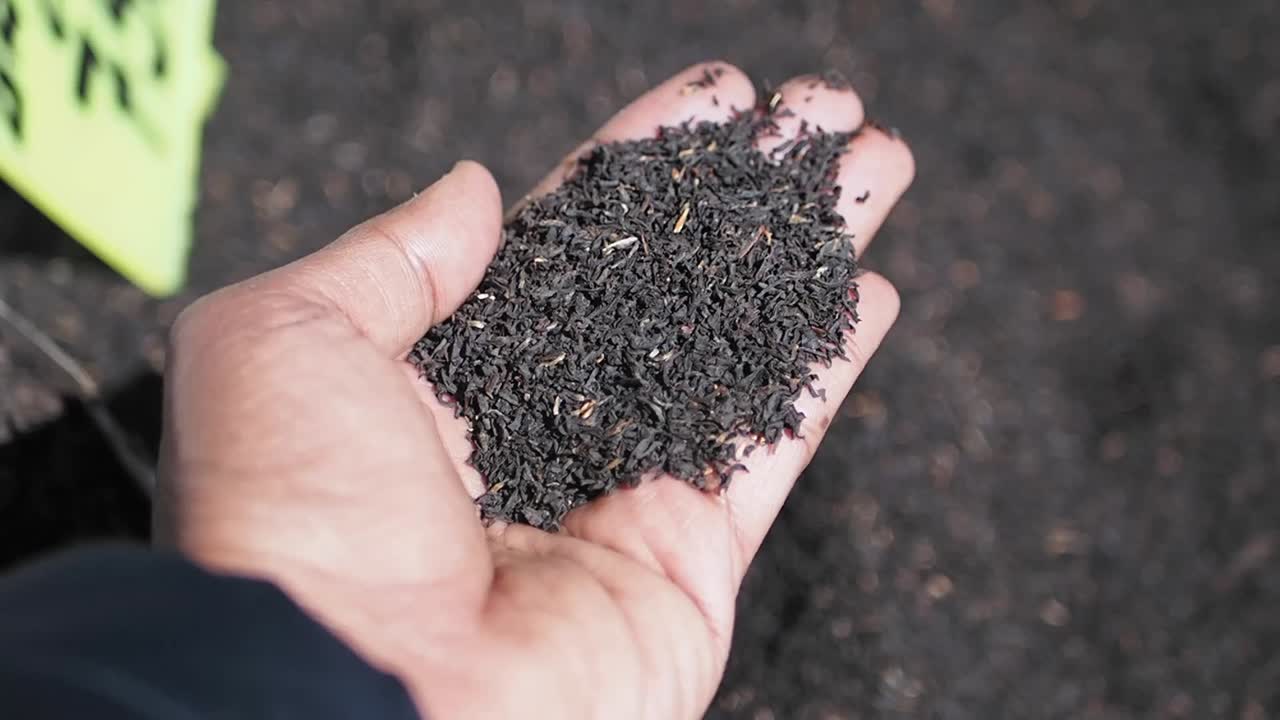 Loose leaf tea in hand