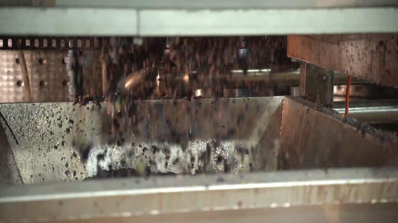 와인 기계에 떨어지는 분쇄 된 포도 의 느린 움직임  ⁇