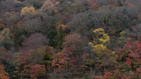 Colores-De-Otoño-En-La-Montaña-Arashiyama-En-El-Fondo-De-Kyoto