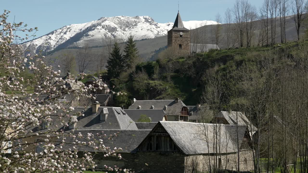 View on the village and church of Génos with snow capped mountains in the background and blooming fruit tree in the foreground. Pan move.