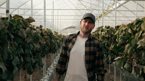 Portrait-of-a-sad-male-farmer-with-a-beard-who-is-disappointed-in-the-harvest-of-dried-and-wilted-strawberry-bushes-in-a-greenhouse-on-the-farm