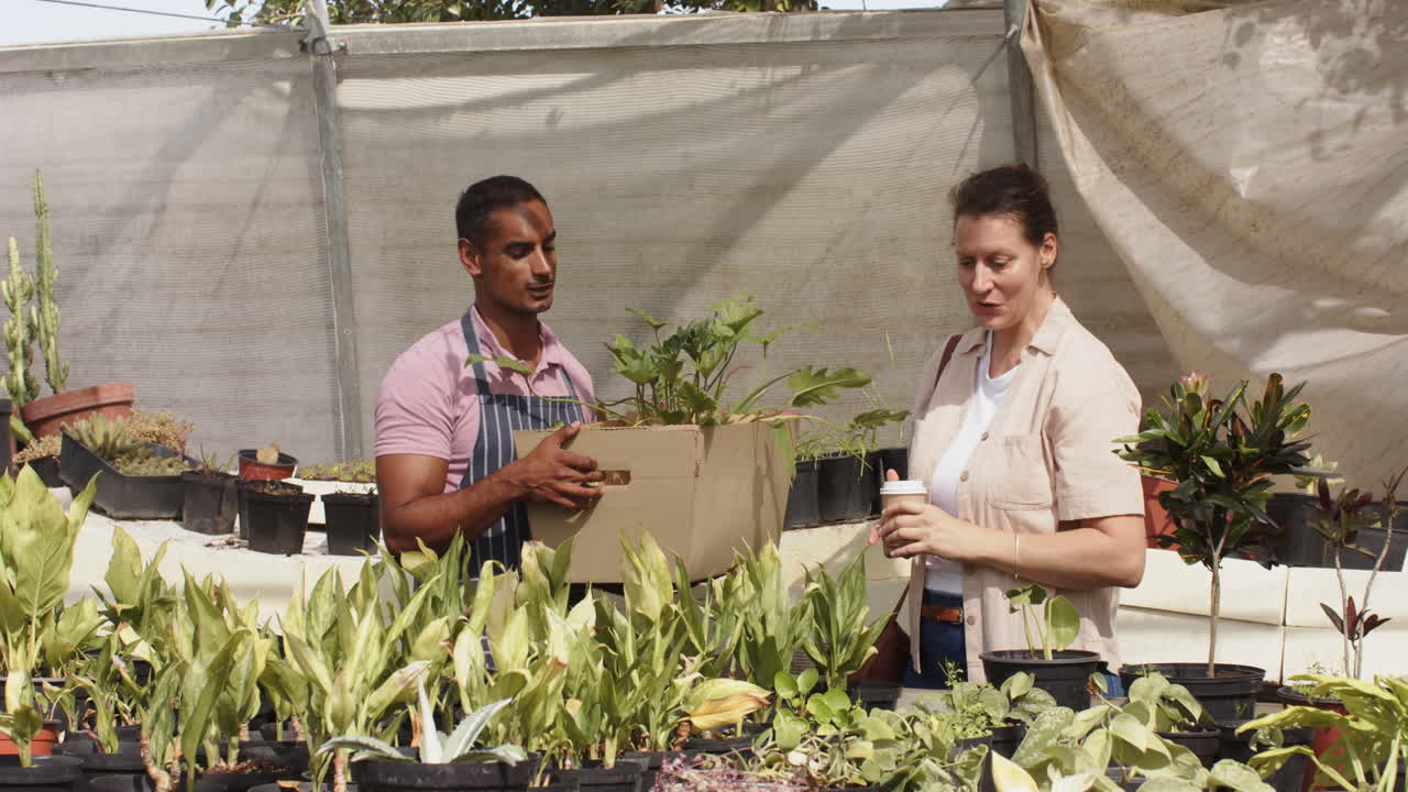 Garden center diverse workers organizing plants and discussing arrangements in greenhouse