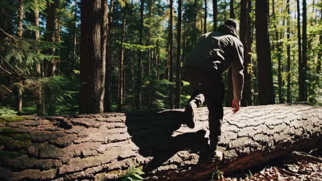 man hiking over fallen log in forest
