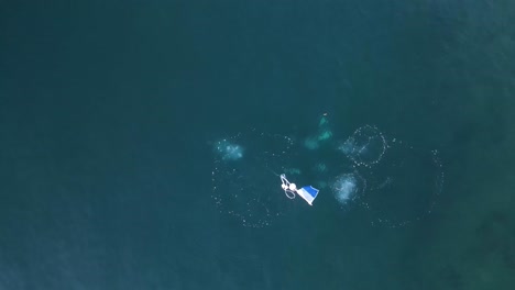 a group of scuba divers underwater doing a rescue course next to a dive safety flag