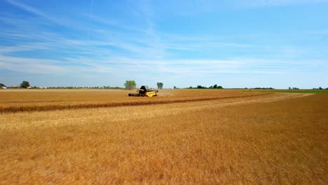 Fertiges-Gelbes-Stroh-Auf-Dem-Feld