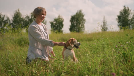 dog owner kneeling in grassy field holding dog's leash while dog looks intently at something, surrounded by lush greenery and background trees, bright sunny day