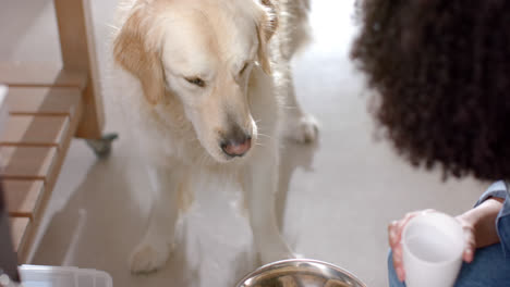 Sección-Media-De-Una-Mujer-Birracial-Que-Sirve-Comida-Para-Perros-Golden-Retriever-En-Casa,-Cámara-Lenta