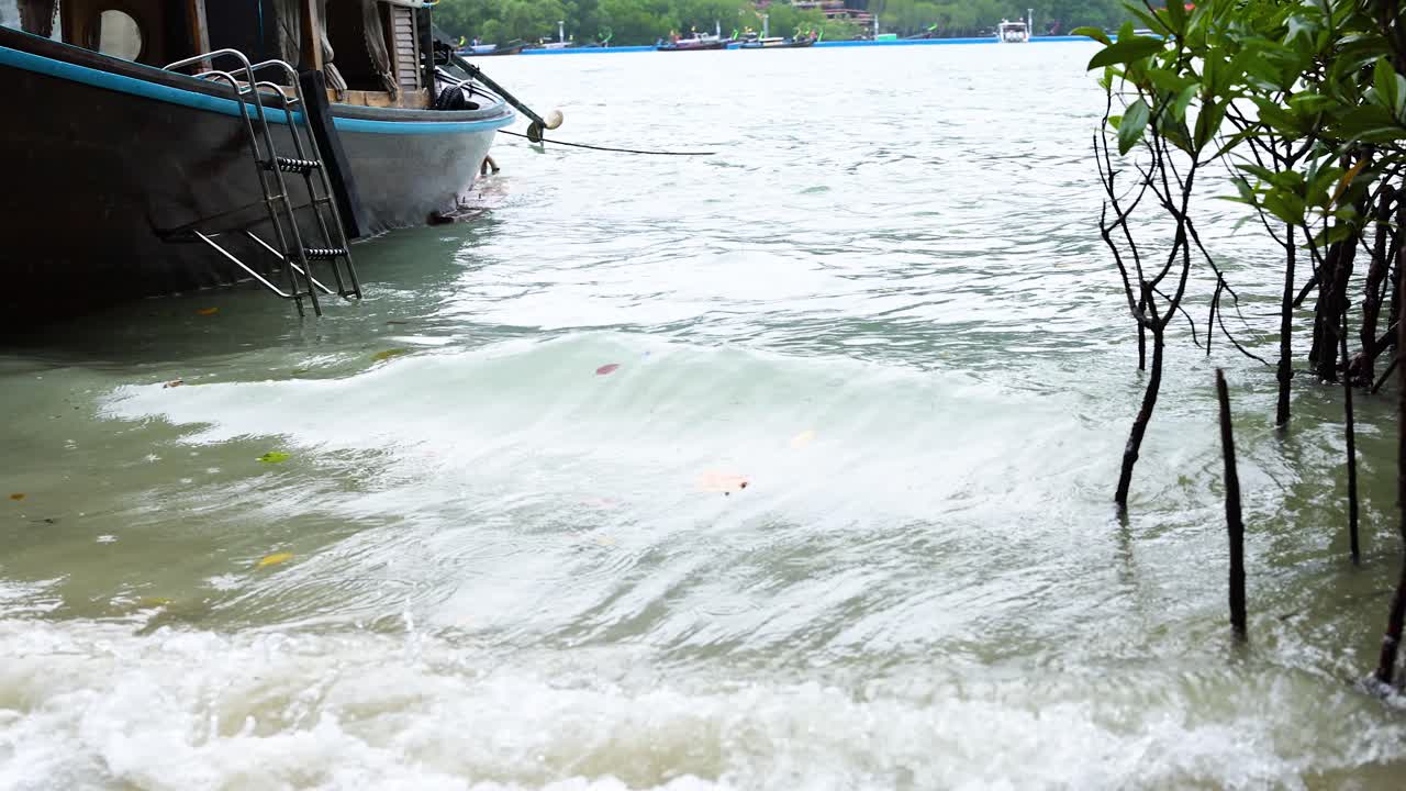 물결은 맹그로브 뿌리를 가게 움직입니다.