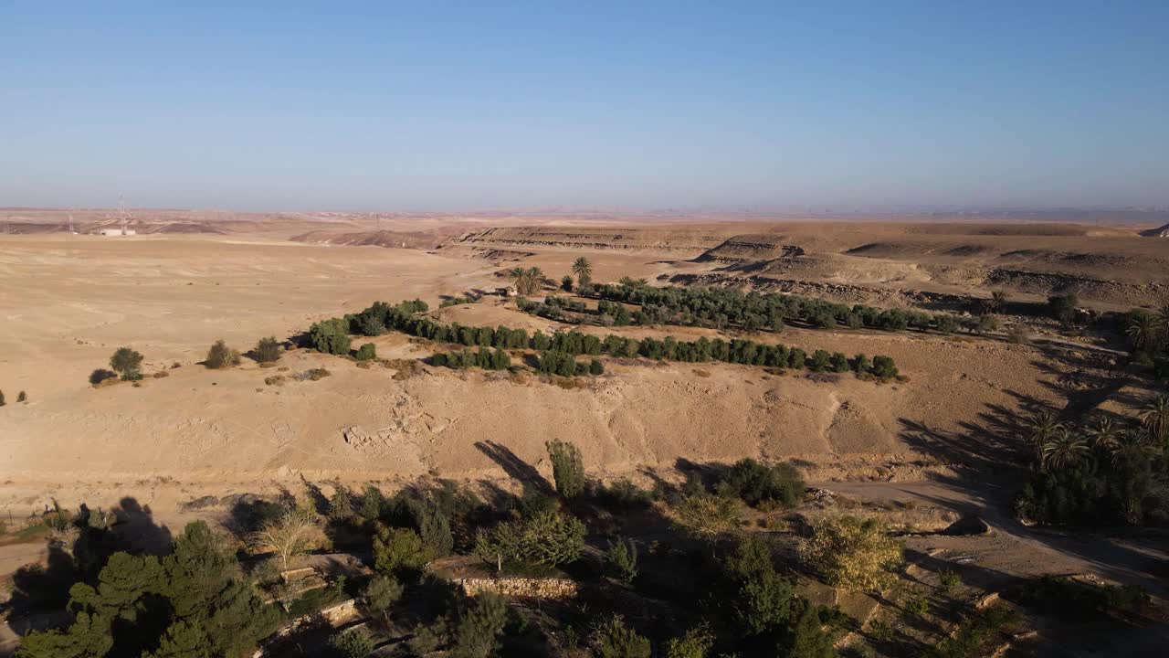 Green oasis in the desert of Ne'ot Semadar, aerial view of nature and landscape